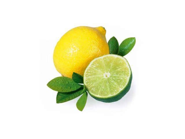 citrus limone sauna duftöl 100 ml