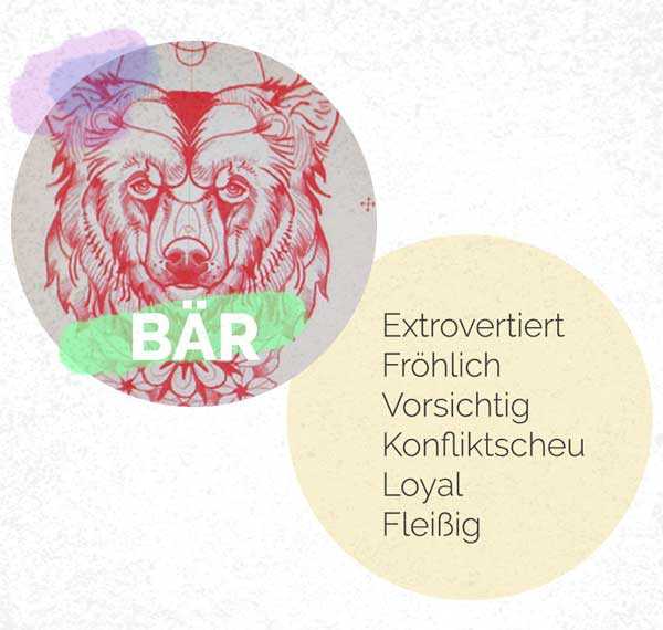 schlaftyp baer