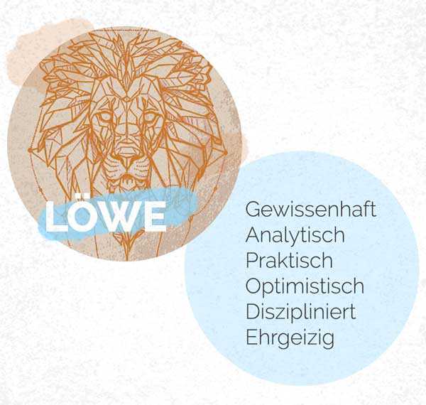 schlaftyp loewe